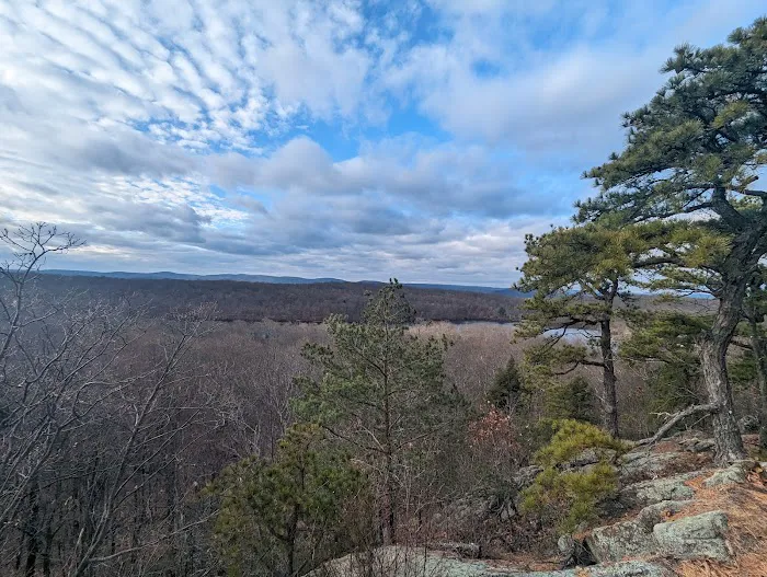 Ramapo State Forest Picture 10