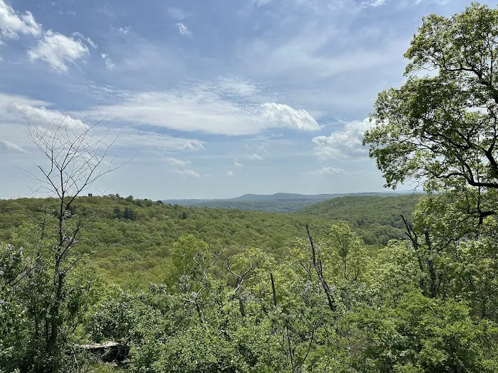 Hiking Trail Parking Area Picture 1