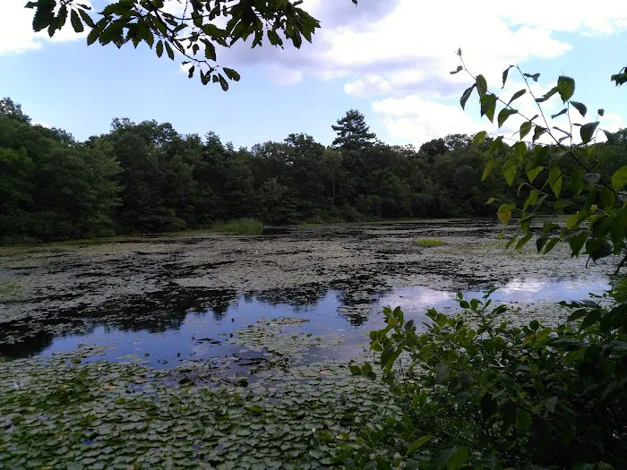 Hiking Trail Parking Area Picture 8