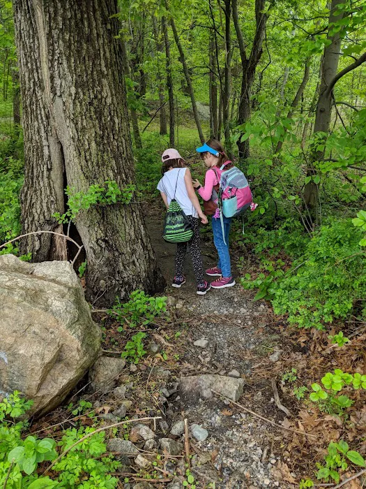 Hiking Trail Parking Area Picture 3