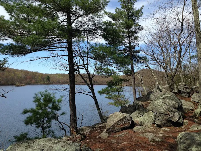 Hiking Trail Parking Area Picture 7