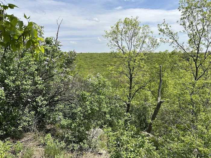 Hiking Trail Parking Area Picture 9