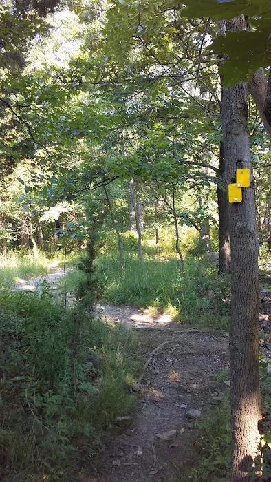 Hiking Trail Parking Area Picture 6