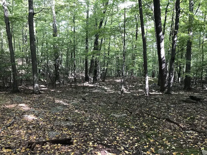 Ramapo Mountain State Forest (Upper Lot) Picture 7