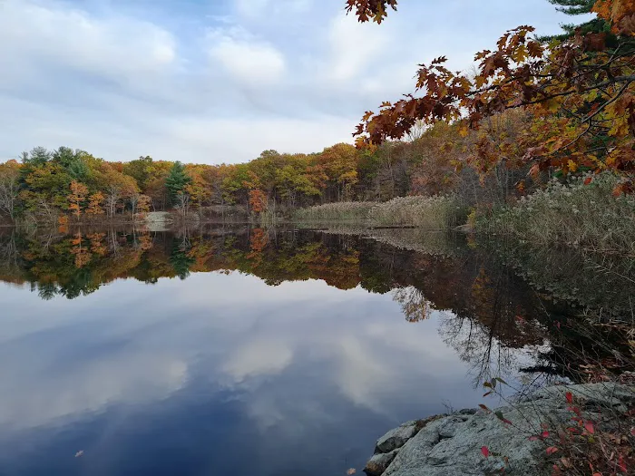 Ramapo Mountain State Forest (Upper Lot) Picture 3
