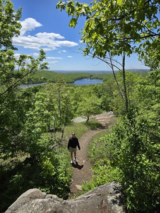 Ramapo Mountain State Forest (Upper Lot) Picture 8