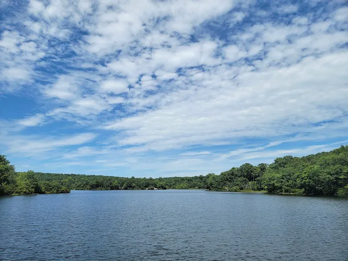 Ramapo Mountain State Forest (Upper Lot) Picture 4