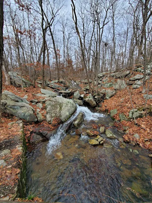 Ramapo Mountain State Forest (Upper Lot) Picture 9