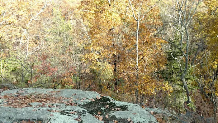 Painted Forest Picture 1