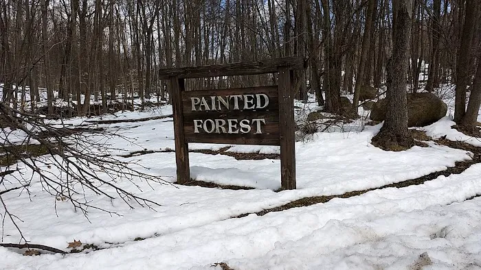 Painted Forest Picture 9