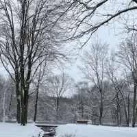Peninsula Packanack Lake ico
