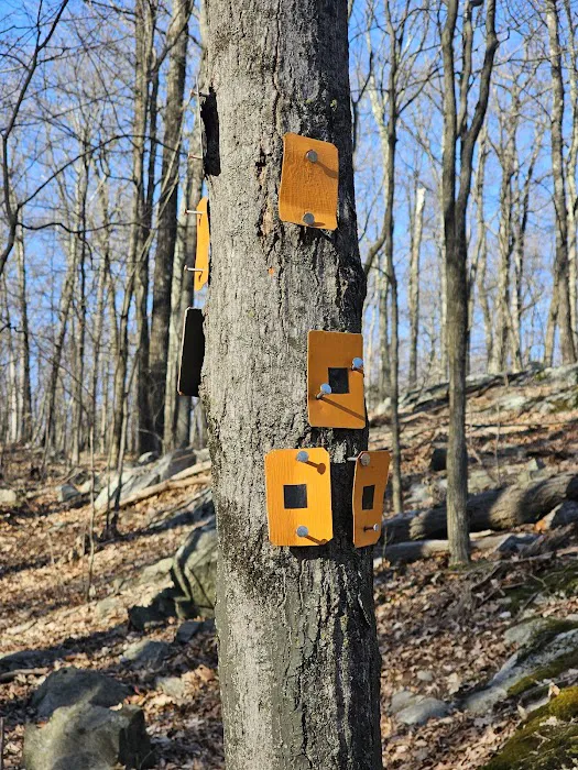Orange Trail & Orange Black Trail Head Picture 1