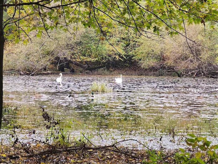 Riverside Park Picture 7