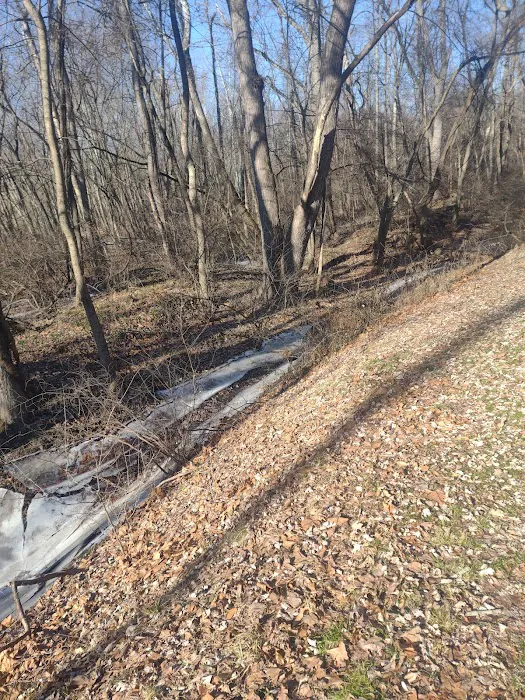 Riverside Park Picture 4