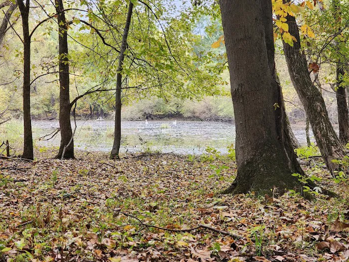 Riverside Park Picture 10