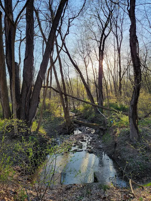 Two Sisters Wetland Preserve Property Picture 1