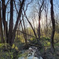 Two Sisters Wetland Preserve Property ico