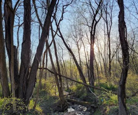 Two Sisters Wetland Preserve Property