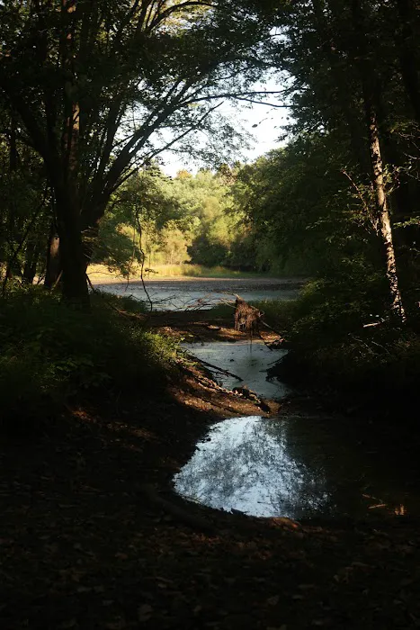 Two Sisters Wetland Preserve Property Picture 6