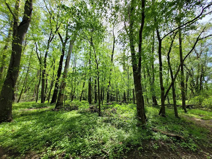 Two Sisters Wetland Preserve Property Picture 3
