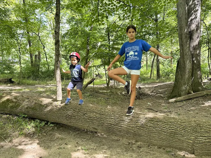 Two Sisters Wetland Preserve Property Picture 4