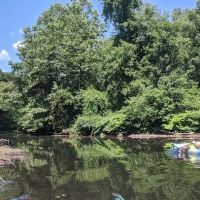 Aquatic Park ico