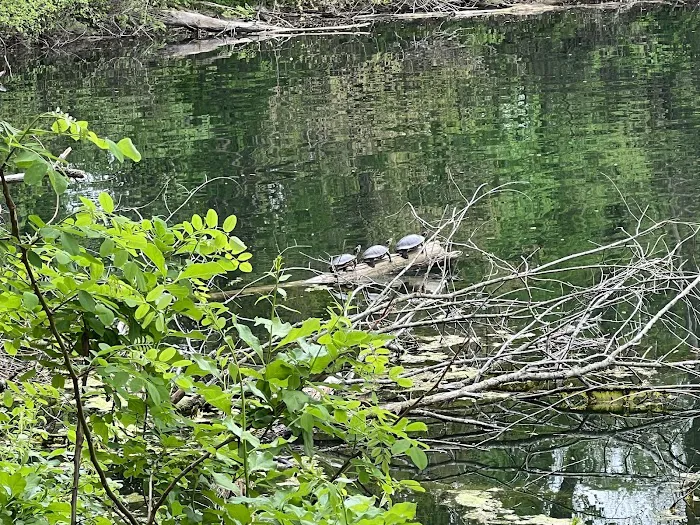 Pequannock Valley Park Picture 9