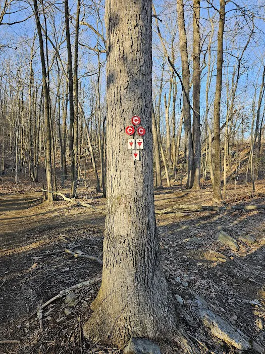 Red & Cannonball Trail Intersection Picture 1