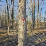 Red & Cannonball Trail Intersection