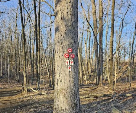 Red & Cannonball Trail Intersection