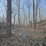 Orange Trailhead