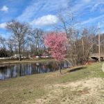 Hershfield Park