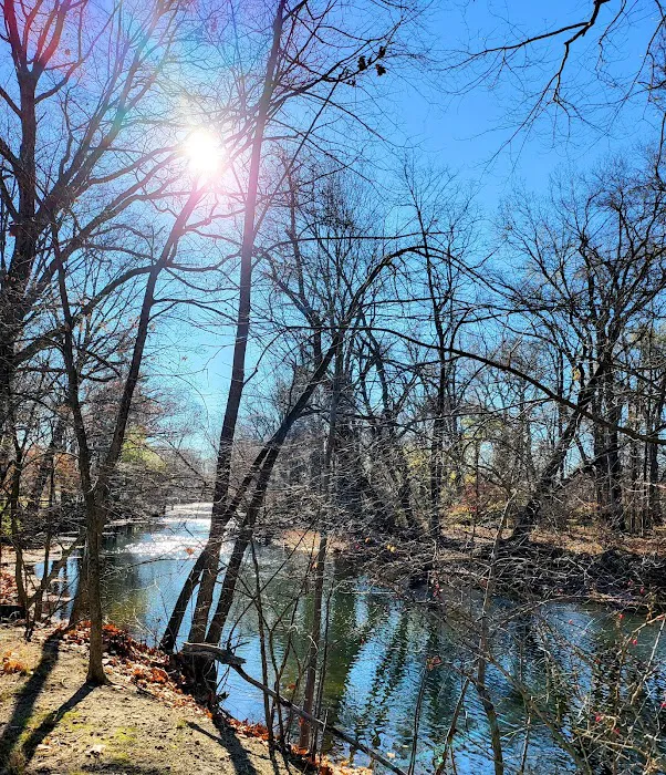Hershfield Park Picture 9