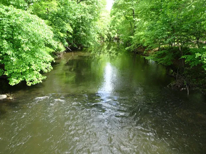 Hershfield Park Picture 3