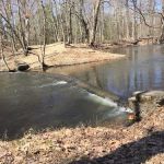 POMPTON LAKES PARK 2
