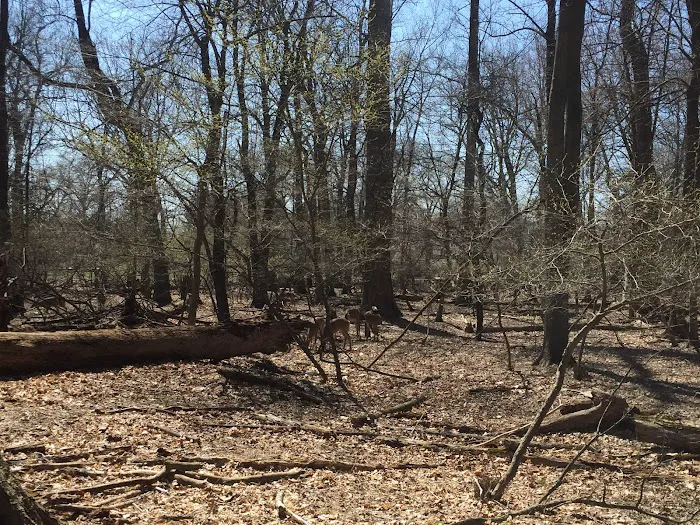 POMPTON LAKES PARK 2 Picture 2