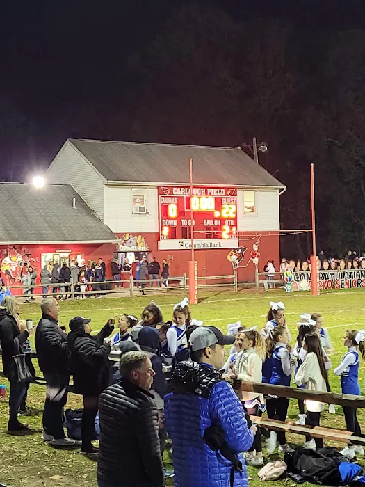 Carlough Field Picture 4