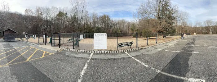 Ringwood Dog Park Picture 3