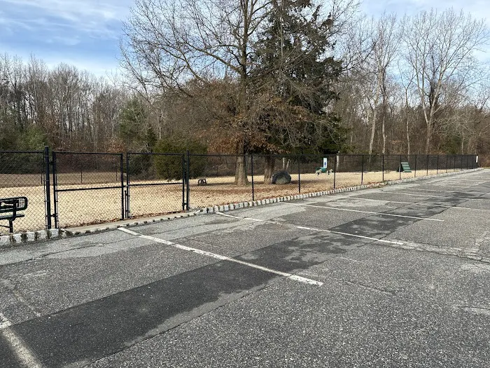 Ringwood Dog Park Picture 6
