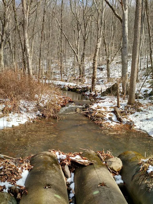 Tranquility Ridge Picture 10