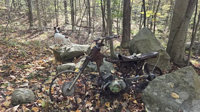 Tranquility Ridge Picture 4