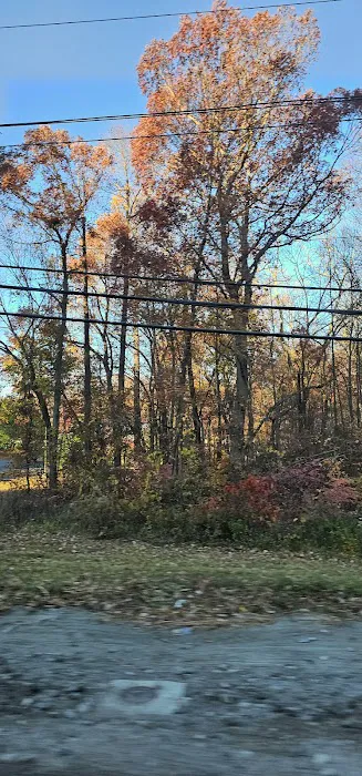 Highlands Meadow Property Picture 6