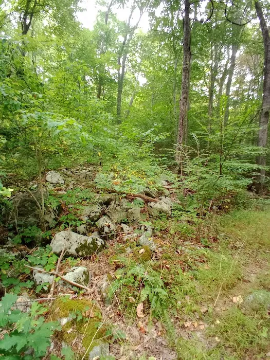 Highlands Meadow Property Picture 8