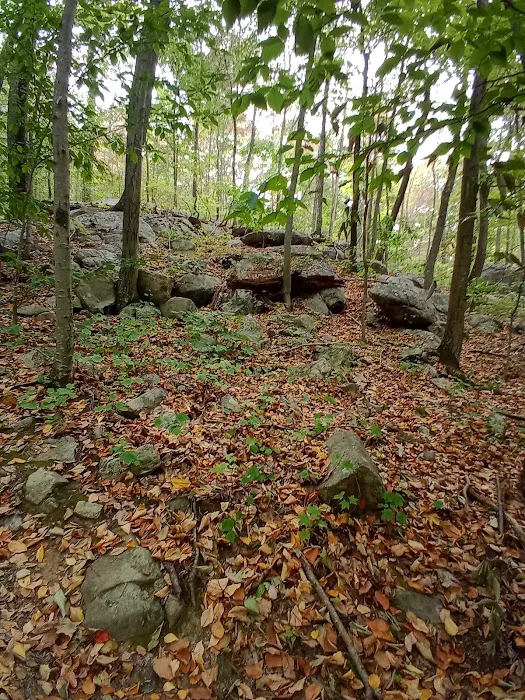 Highlands Meadow Property Picture 7
