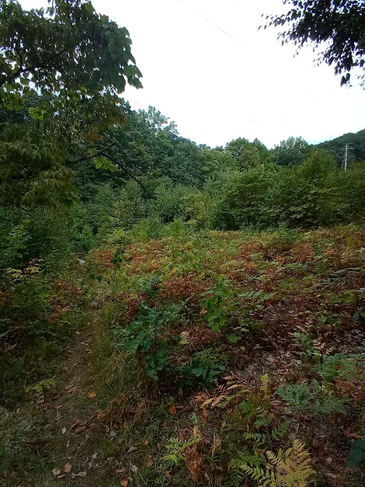 Highlands Meadow Property Picture 4