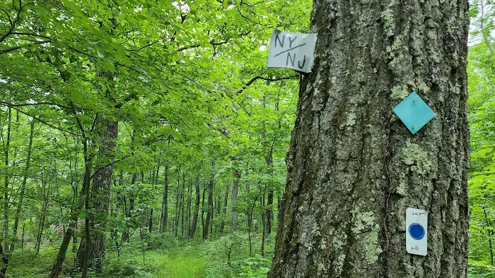 Long Pond Ironworks State Park Picture 3