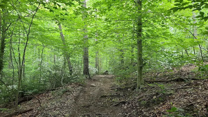 Long Pond Ironworks State Park Picture 4
