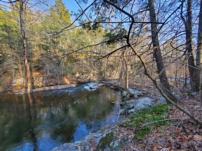 Long Pond Ironworks State Park Picture 7