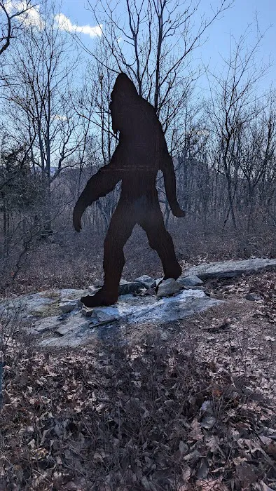 Sculpture Loop Trail Picture 6