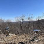 Sculpture Loop Trail